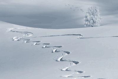 Myoko Hosted Experience 2027